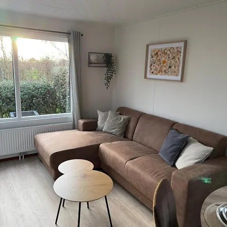 Sea Shell - Near The In * Петтен