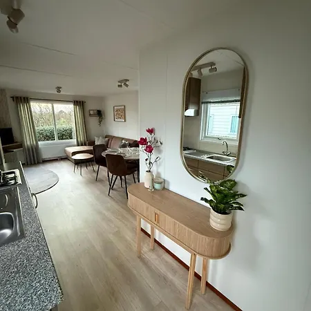 Sea Shell - Near The In Петтен