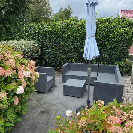 Sea Shell - Near The In Петтен