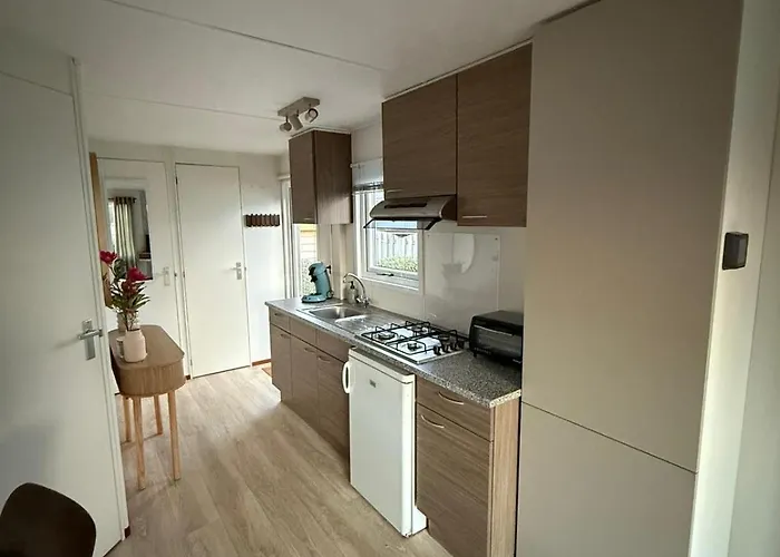 Sea Shell - Near The In * פטן