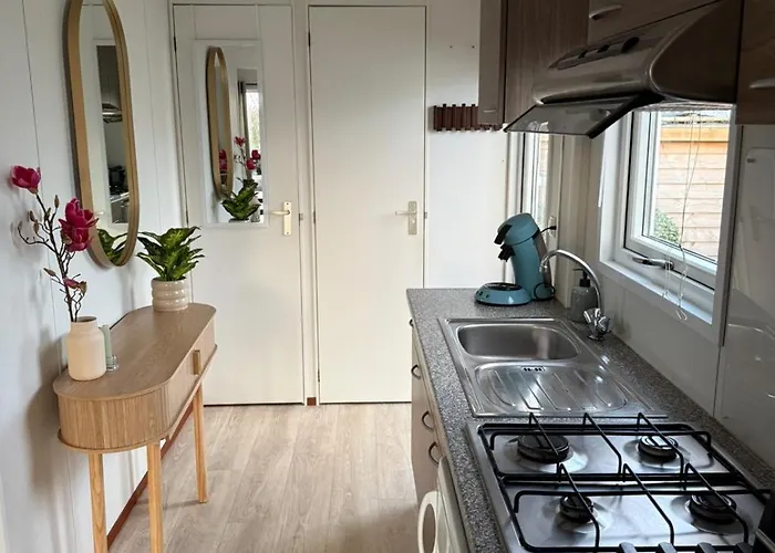 Sea Shell - Near The In *