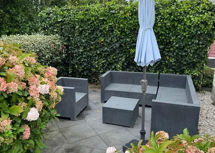 Sea Shell - Near The In פטן