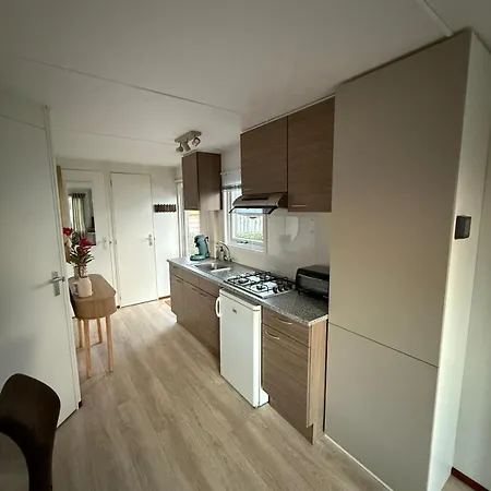 Sea Shell - Near The In * Petten