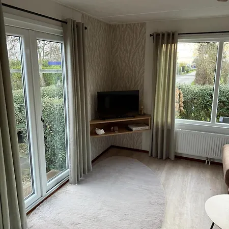 Sea Shell - Near The In *