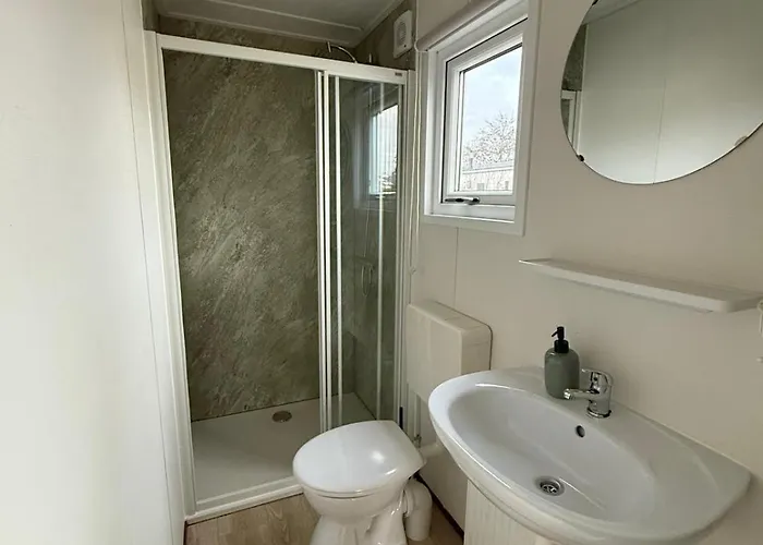 Sea Shell - Near The In